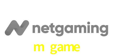 NetGaming
